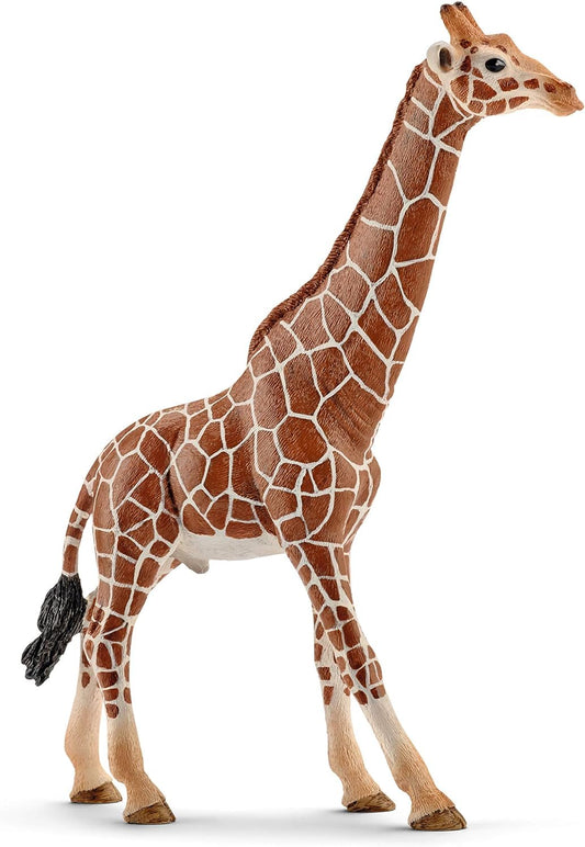 SCHLEICH Wild Life 14749 Male Giraffe Animal Figurine - Authentic Detailed Wild Male Giraffe Toy Education, Imagination, and Play - Highly Durable Animal Toys Gift for Boys, Girls, Kids Ages 3+