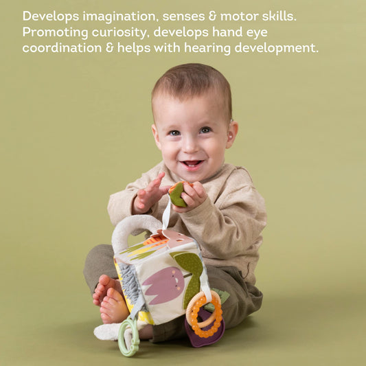 Taf Toys Urban Garden Activity Cube Sensory Baby Hanging Toy. Includes Teether, Baby Safe Mirror, Padded Handle, Chime Bell. Clips on Cot, Pram or Car Seat. Suitable for Boys & Girls 0 month +
