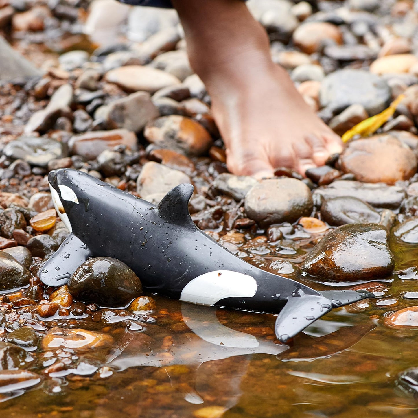 SCHLEICH Wild Life, Animal Figurine, Animal Toys for Boys and Girls 3-8 Years Old, Killer Whale, Ages 3+