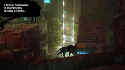 Stray (Nintendo Switch)