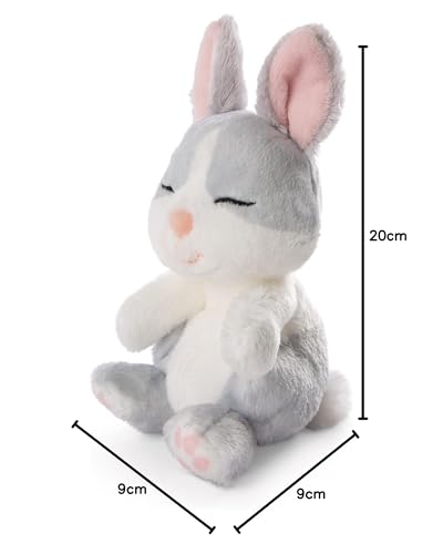 Nici Soft Toy Sleeping Pets Bunny grey in green basket 12cm