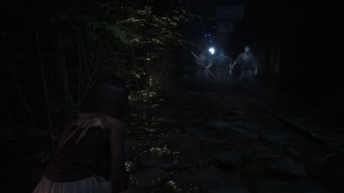Fatal Frame II (Nintendo Switch 2)