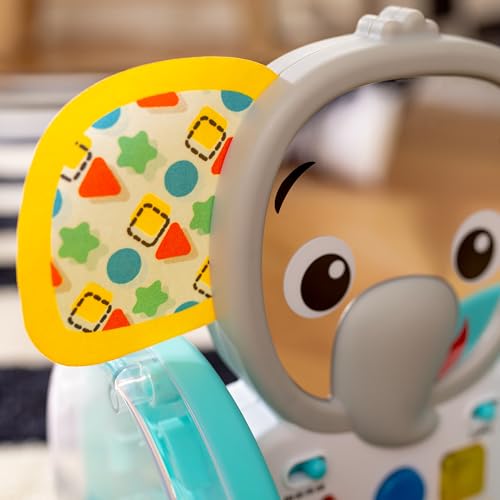 Baby Einstein Chase & Tap Earl crawling baby toy with mirror and music for infants 6 months and up, colorful and interactive.