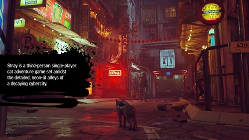 Stray (Nintendo Switch)
