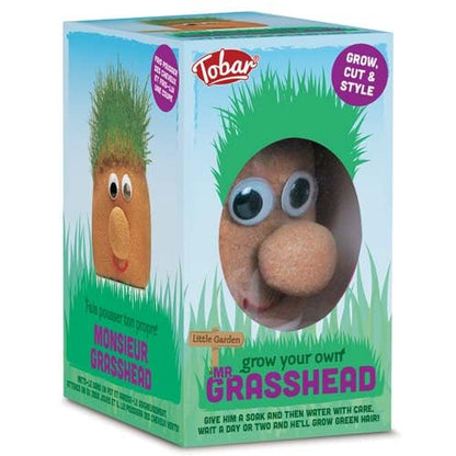 Tobar MR Grasshead plastic gardening figure with green grass hair and a playful face, designed for decorative indoor display.