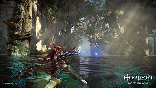 PlayStation Horizon Forbidden West PS5 game case with cover art featuring futuristic landscape and robotic characters.