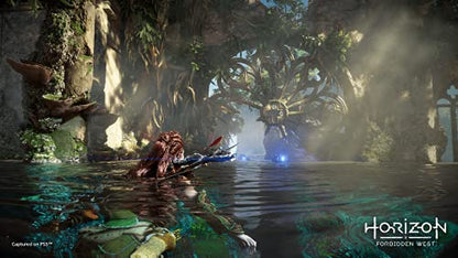 PlayStation Horizon Forbidden West PS5 game case with cover art featuring futuristic landscape and robotic characters.
