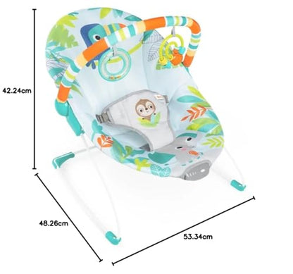 Bright Starts baby bouncer seat with soothing vibrations, removable toy bar, nonslip feet, suitable for infants 0-6 months up to 20 lbs.