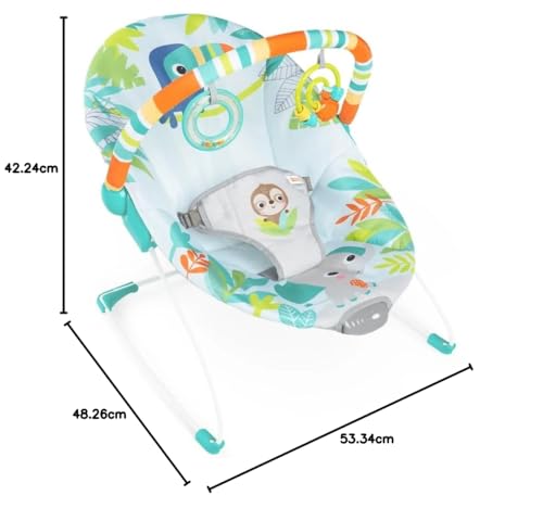 Bright Starts baby bouncer seat with soothing vibrations, removable toy bar, nonslip feet, suitable for infants 0-6 months up to 20 lbs.