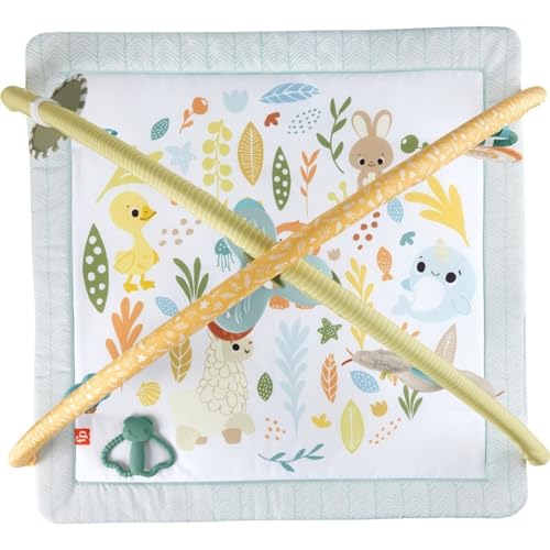 Fisher-Price Baby Playmat Simply Senses newborn gym with colorful mobile and sensory toys for developmental play for ages 0+ months
