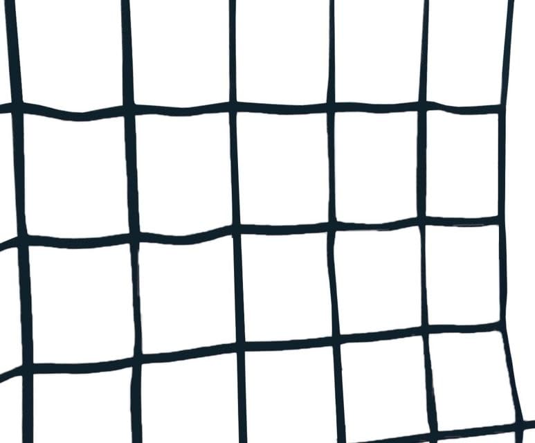 Plum Kids Outdoor Climbing Frame with Monkey Bars, Swing & Cargo Net – Metal Garden Playset for Children Ages 3+ | Durable Fun for Years | Safe & Strong