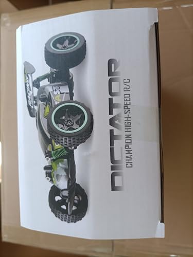 Tecnock Remote Control Cars for Kids, 1:18 Scale RC Racing Cars with LED, 2.4GHz All Terrain RC Car with 2 Rechargeable Batteries for 50 Min Play, Indoor Outdoor Toys Gifts for Boys and Girls