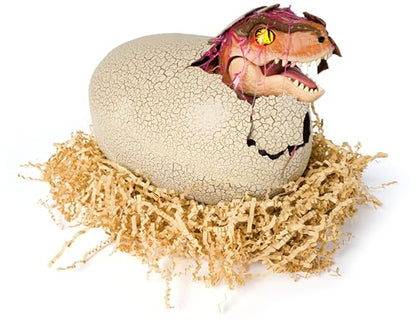 Jurassic World Primal Hatch Interactive Toy Dinosaur & Egg, Hatch & Train your own Baby Dino with 100+ Sounds & Reactions, Kids Toys for Boys & Girls Aged 5 & Up