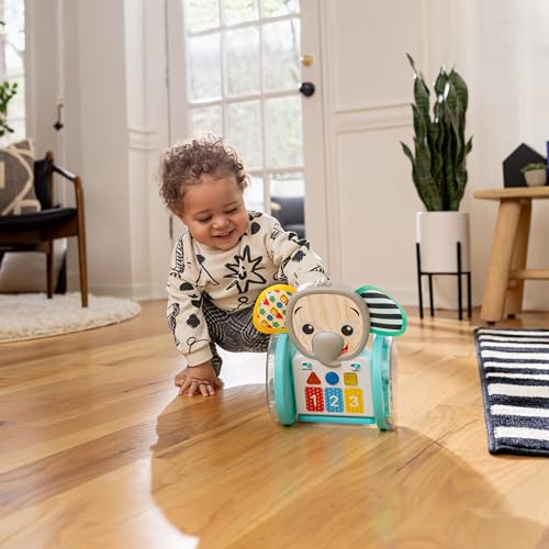 Baby Einstein Chase & Tap Earl crawling baby toy with mirror and music for infants 6 months and up, colorful and engaging for early development.