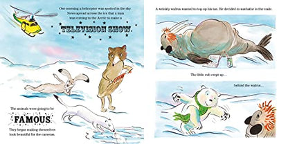 The Bear Who Went Boo!: A book by David Walliams