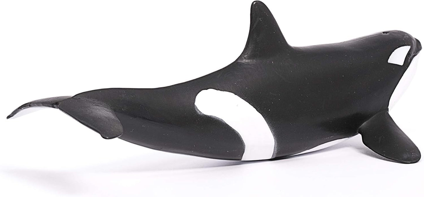 SCHLEICH Wild Life, Animal Figurine, Animal Toys for Boys and Girls 3-8 Years Old, Killer Whale, Ages 3+
