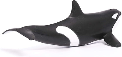 SCHLEICH Wild Life, Animal Figurine, Animal Toys for Boys and Girls 3-8 Years Old, Killer Whale, Ages 3+