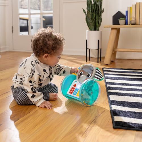 Baby Einstein Chase & Tap Earl crawling baby toy with mirror and music for infants 6 months and older, colorful and interactive.
