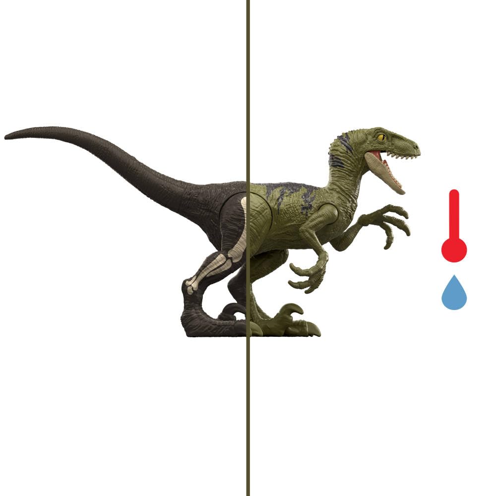 Mattel Jurassic World Dino Reveal Dinosaur Toys, Unpack Surprise & Warm Water Uncovers Full Decoration, 5 to 7 Inches, Species Vary, JDC52