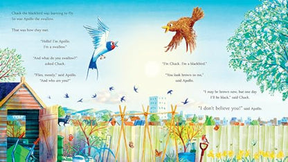 Follow the Swallow: A brilliantly funny illustrated children’s picture book about friendship from the author of The Gruffalo, perfect for ages 3 to 7