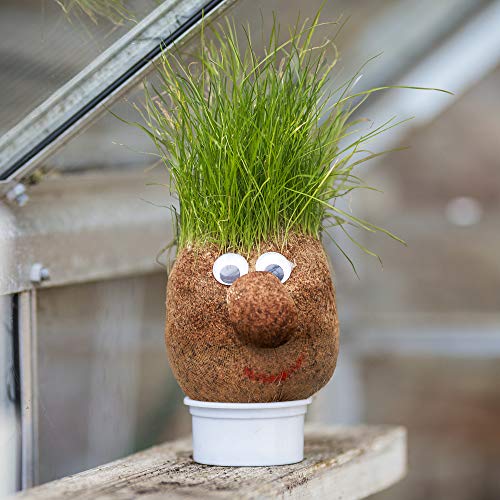 Tobar MR Grasshead toy with grass-growing head and cartoon face, standing upright on a white background.