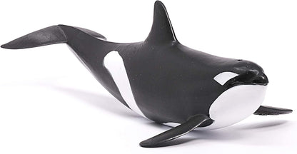 SCHLEICH Wild Life, Animal Figurine, Animal Toys for Boys and Girls 3-8 Years Old, Killer Whale, Ages 3+