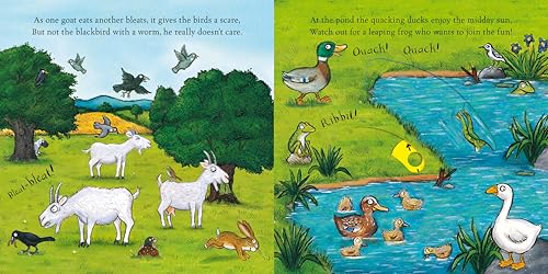 On the Farm: A push pull slide board book for toddlers, from the illustrator of The Gruffalo (Campbell Axel Scheffler, 5)