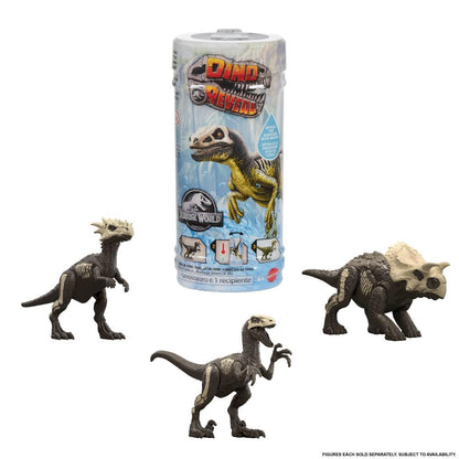 Mattel Jurassic World Dino Reveal Dinosaur Toys, Unpack Surprise & Warm Water Uncovers Full Decoration, 5 to 7 Inches, Species Vary, JDC52