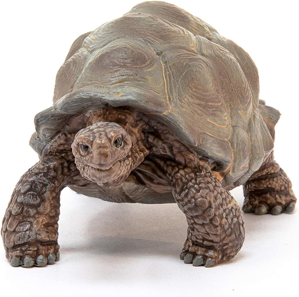 SCHLEICH Wild Life 14824 Realistic Exotic Galapagos Giant Tortoise Figurine - Wild Animal Giant Tortoise Toy for Wildlife Play and Imagination - Animal Toys Gift for Boys, Girls, Kids Ages 3+