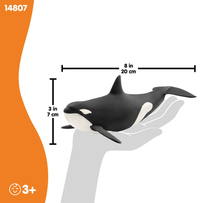 SCHLEICH Wild Life, Animal Figurine, Animal Toys for Boys and Girls 3-8 Years Old, Killer Whale, Ages 3+