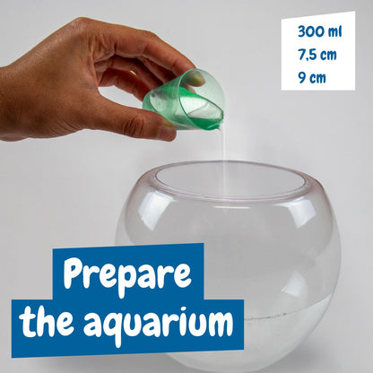 Science4you Jurassic Pets (Triops family) - Water Dragons Kit, Grow Your Own Aquatic Sea Creatures, Science Kits for Kids Age 6+, Toys and Games, Gifts for 6+ year old Boys and Girls