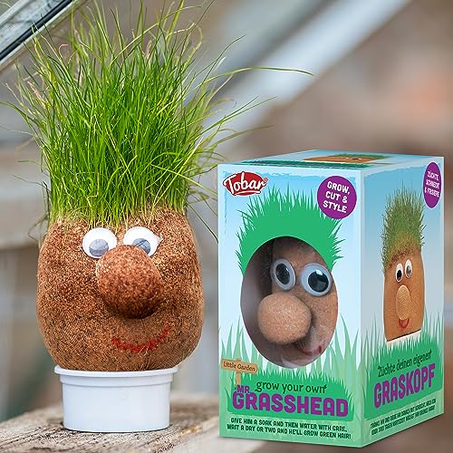 Colorful Tobar Mr. Grasshead toy with a green grass head and expressive face, designed for kids' imaginative play.