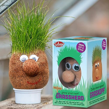 Colorful Tobar Mr. Grasshead toy with a green grass head and expressive face, designed for kids' imaginative play.