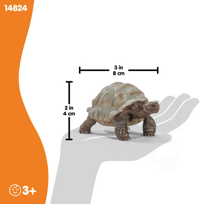 SCHLEICH Wild Life 14824 Realistic Exotic Galapagos Giant Tortoise Figurine - Wild Animal Giant Tortoise Toy for Wildlife Play and Imagination - Animal Toys Gift for Boys, Girls, Kids Ages 3+