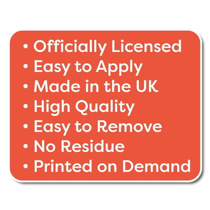 WWE Wall Decal - RAW Smashed Arena Vinyl Sticker Decal Kids Mural Art Wrestling (60cm x 30cm)