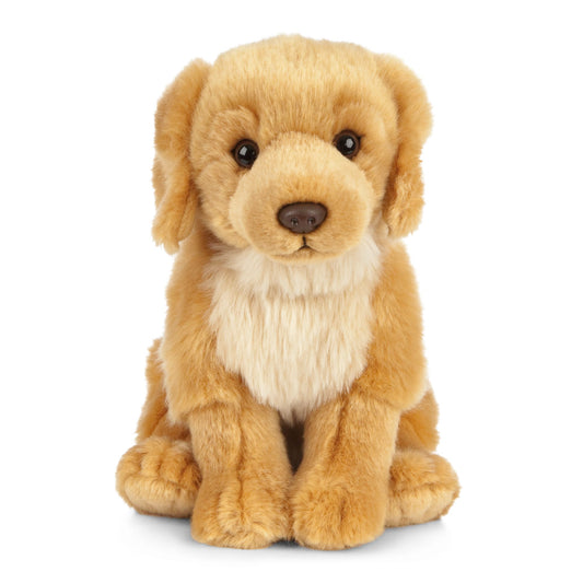 Living Nature Golden Retriever Soft Toy – 20 cm Fluffy Realistic Dog Plush, Cuddly Stuffed Animal Gift for Kids & Babies
