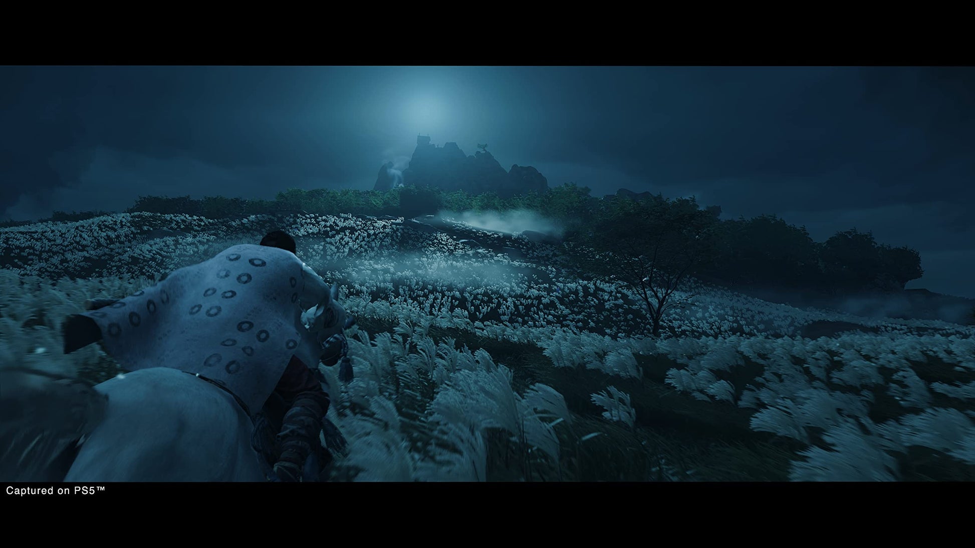 PlayStation Ghost of Tsushima Director's Cut game case for PS5 with cover art featuring samurai and landscape scene.