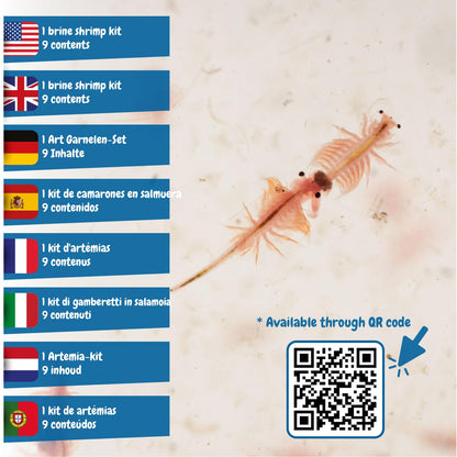 Science4you Jurassic Pets (Triops family) - Water Dragons Kit, Grow Your Own Aquatic Sea Creatures, Science Kits for Kids Age 6+, Toys and Games, Gifts for 6+ year old Boys and Girls