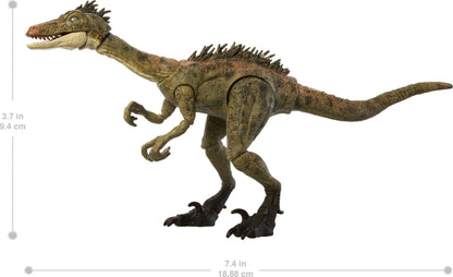 Mattel Jurassic World Hammond Collection Dinosaur Action Figure Toy Troodon Species, Premium Movie Design Glass Eyes & 14 Points Articulation, JDJ11