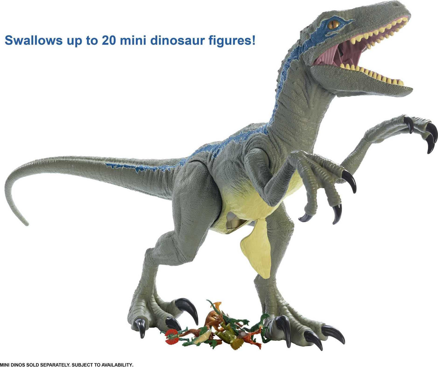 Jurassic World Large Dinosaur Toy, Super Colossal Velociraptor Blue Action Figure 3.5 Feet Long with Eating Feature, Gift for Kids, Única