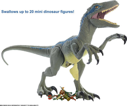 Jurassic World Large Dinosaur Toy, Super Colossal Velociraptor Blue Action Figure 3.5 Feet Long with Eating Feature, Gift for Kids, Única
