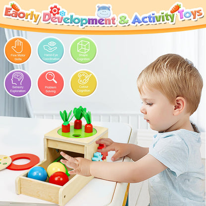 LZDMY Baby Wooden Montessori Toys for 1 Year Old Boys Girls, Toddlers Educational Sensory Sorting Toys Aged 1-3, 6 in 1 Activity Cube Carrots Havest Balls Drop Toy, Babies 1st Birthday Gifts