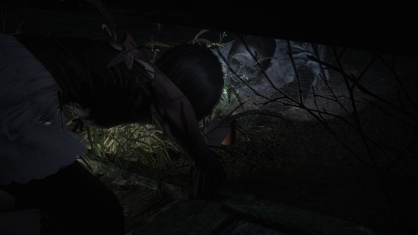 Fatal Frame II (PlayStation 5)