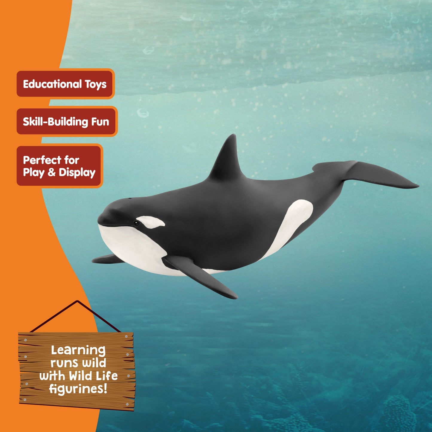 SCHLEICH Wild Life, Animal Figurine, Animal Toys for Boys and Girls 3-8 Years Old, Killer Whale, Ages 3+