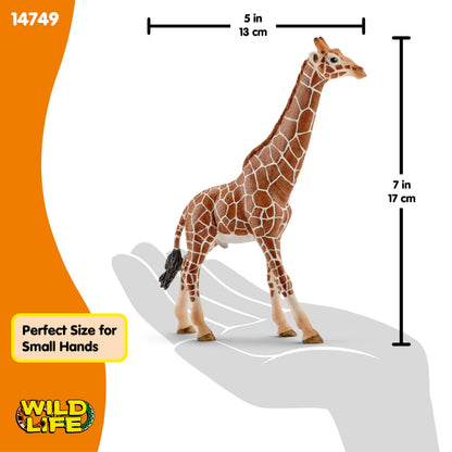 SCHLEICH Wild Life 14749 Male Giraffe Animal Figurine - Authentic Detailed Wild Male Giraffe Toy Education, Imagination, and Play - Highly Durable Animal Toys Gift for Boys, Girls, Kids Ages 3+