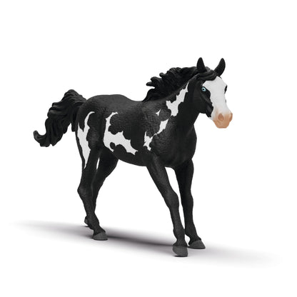 Schleich Horse Club - Paint Horse Gelding - 17cm Hand-Painted Collectable, Realistic Toy Horse Figurine for Girls and Boys. Durable Educational Figure for Fun Imaginative Play. Kids Toys Ages 5+ 14900