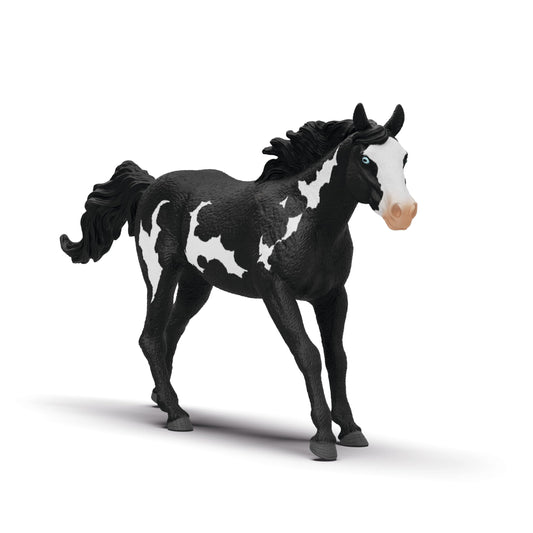Schleich Horse Club - Paint Horse Gelding - 17cm Hand-Painted Collectable, Realistic Toy Horse Figurine for Girls and Boys. Durable Educational Figure for Fun Imaginative Play. Kids Toys Ages 5+ 14900