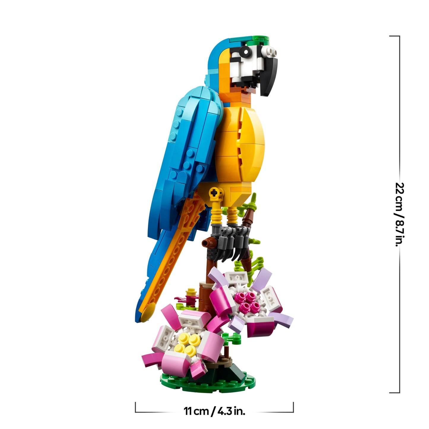 LEGO Creator 3 in 1 Exotic Parrot, Frog, and Fish building toy set displayed with colorful animal figures for kids.