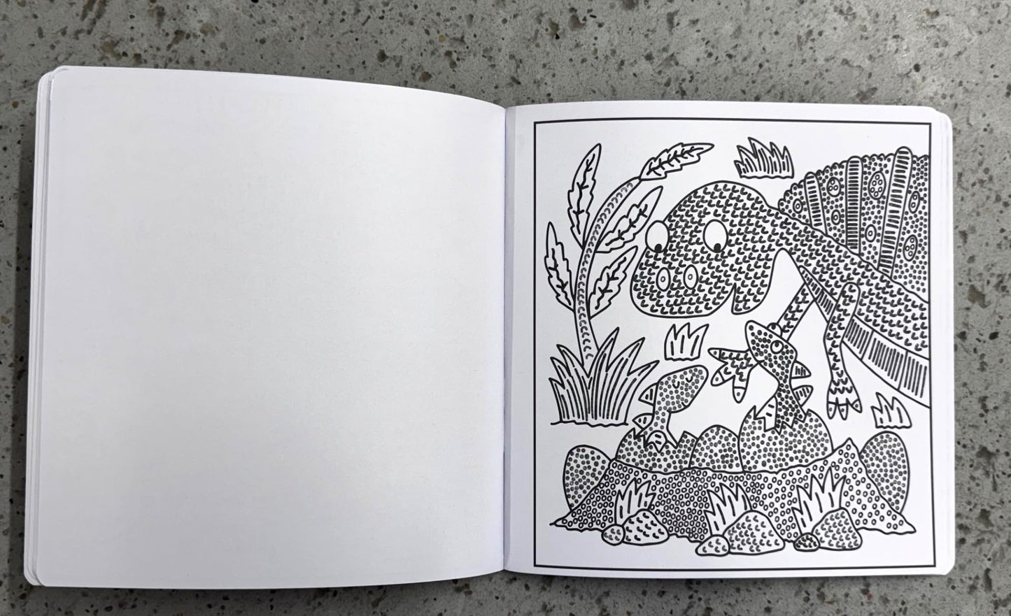 Anila's New Dinosaur Magic Painting Book. (Ideal for Children Aged 3-8).