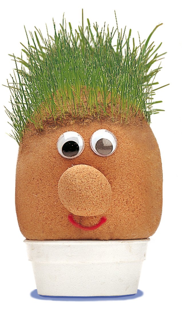 Tobar Mr. Grasshead figurine with green grass hair, smiling face, and colorful clothing, standing outdoors on grass.